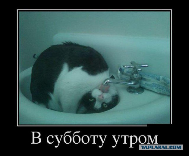 Весёлое из сети