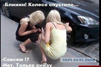 Пятничная подборка