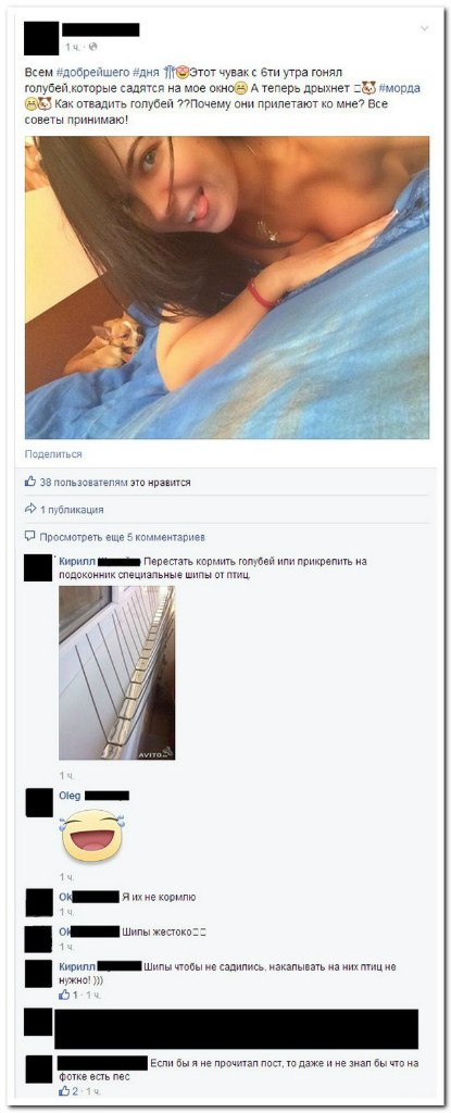 Ужасы и приколы из соцсетей 18+