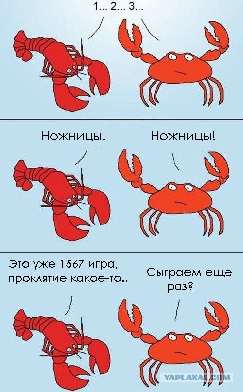 Мишка падонаг