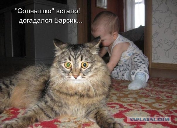 Доказательства того, что детям