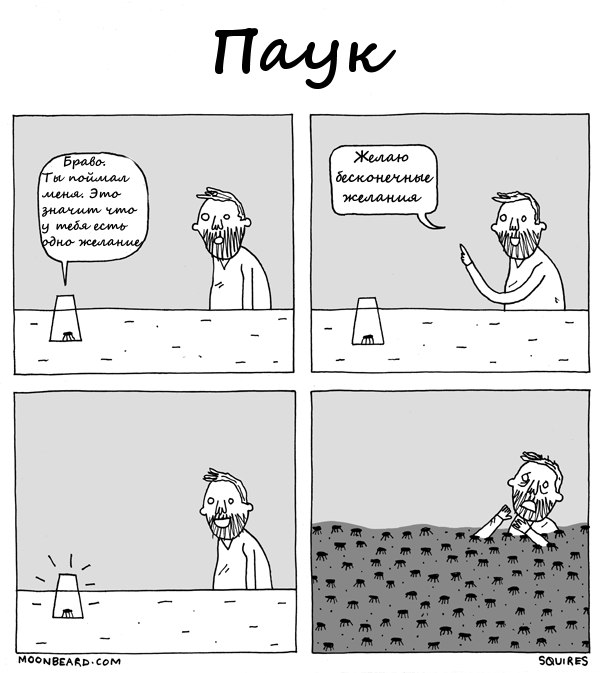 Неожиданность с пауком