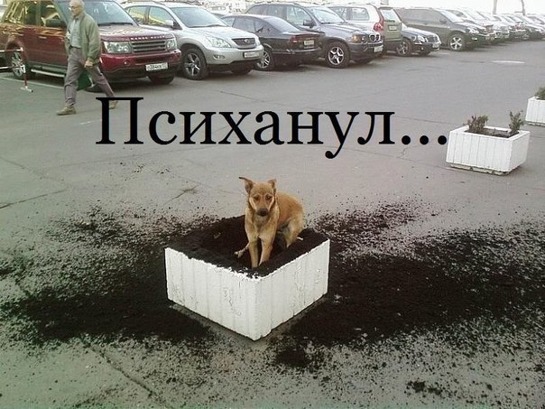 Картинки на утро вторника