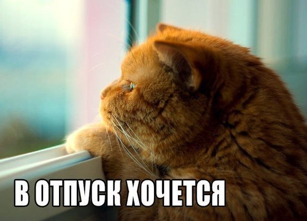Подборка Картинок из сети