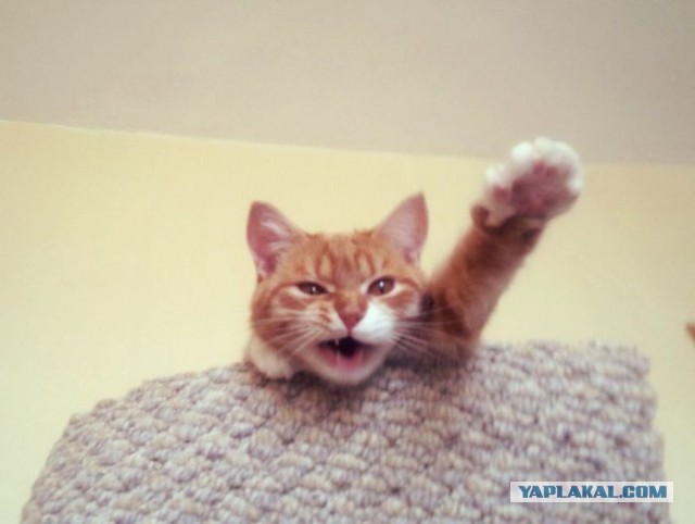 Встреча выжившего в Холокосте и освободителя