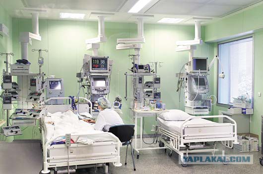 У меня сегодня ГОДОВЩИНА!