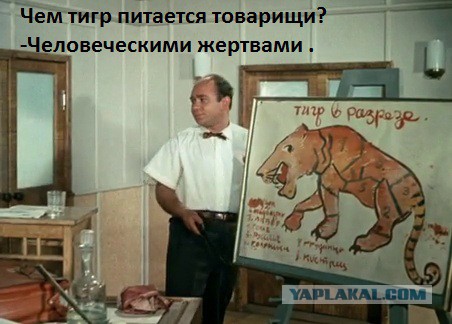 Крылатые фразы из Великих фильмов Советского Союза