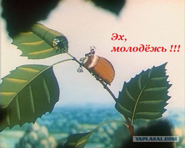 Что это такое?