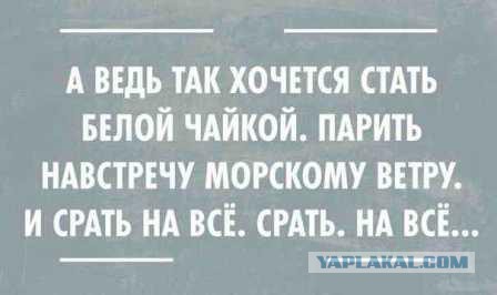 Смешные комментарии из социальных сетей 03.11.2016