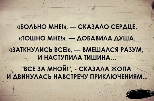 Подборка интересных и веселых картинок