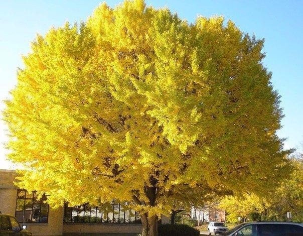Моменты, запечатлённые на фото и просто позитив 5
