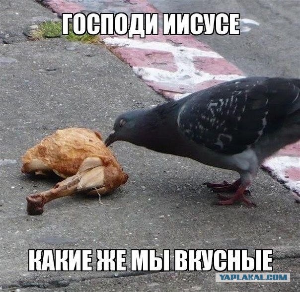 Покушаем на природе?