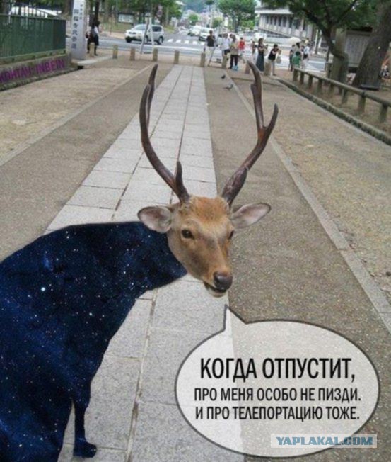 Сны, это не то, что нам кажется