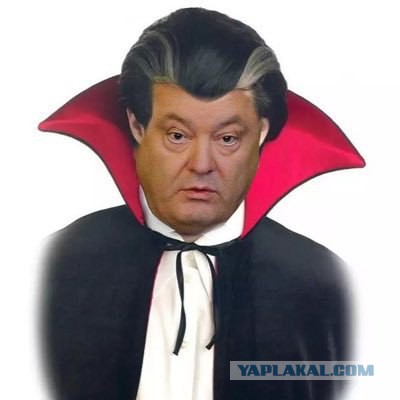 Подборка интересных и веселых картинок