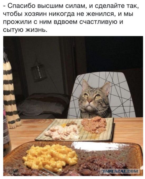 Подборка интересных и веселых картинок