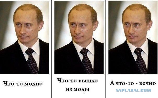 "Так а я ведь никуда и не собираюсь!"