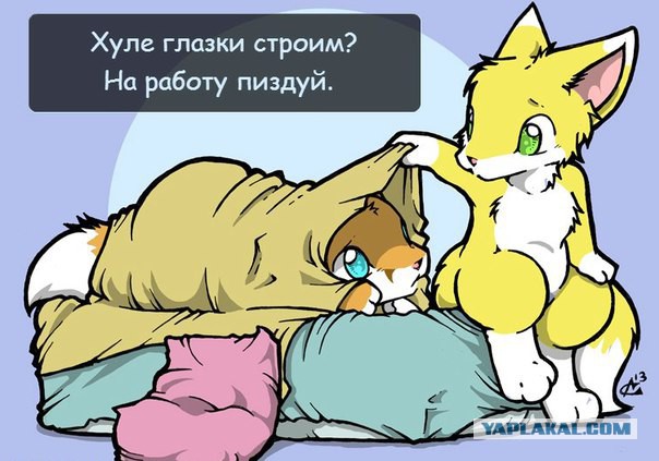 Немного картинок в эту субботу