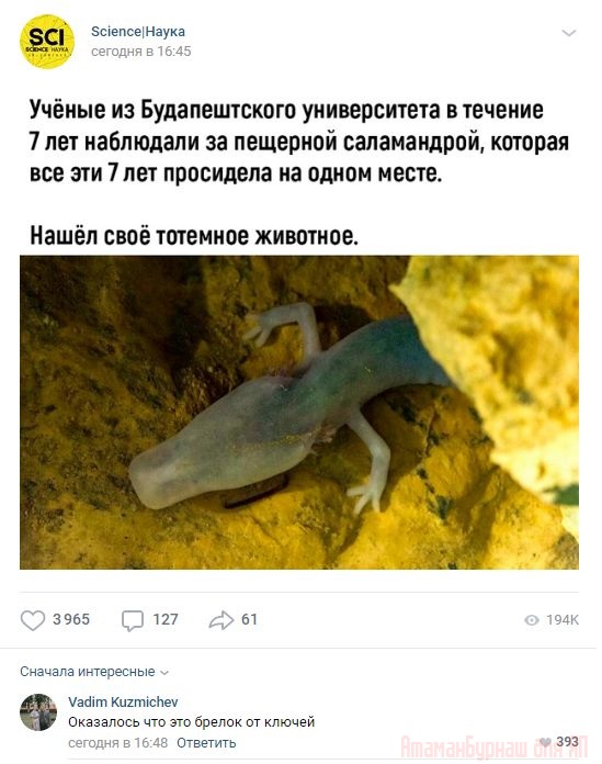 Комментарии к постам в разных группах, которые вызвали улыбку