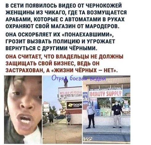 Революция баклажанов: взращивание чёрной биомассы