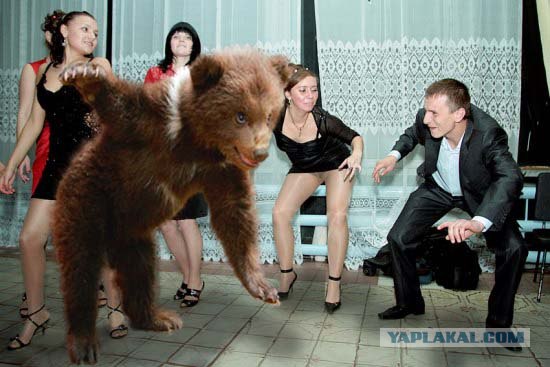 Фотожаба: Учитель танцев