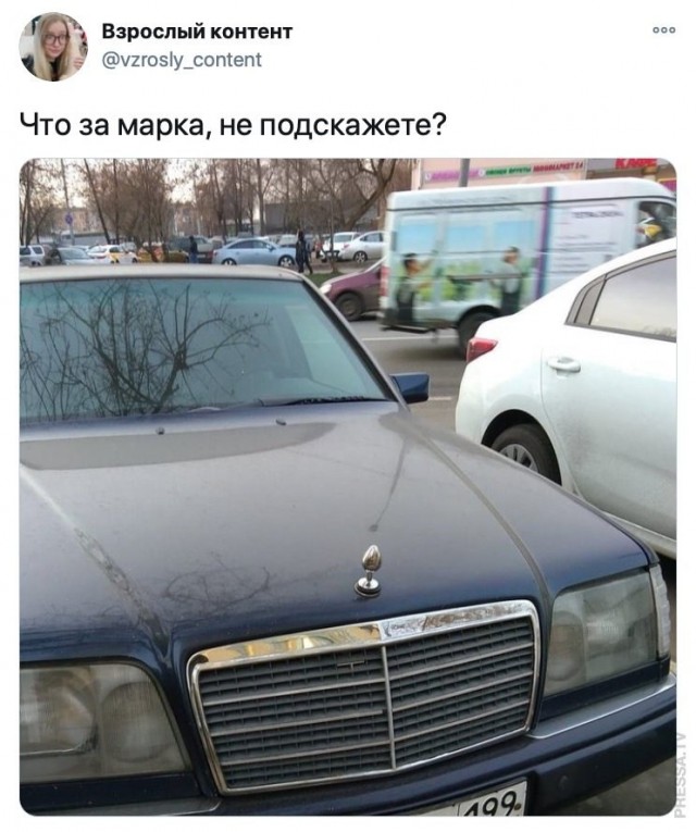 Немного картинок для настроения 14.11.20