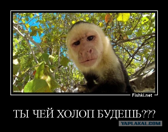 Выглядит вполне логично