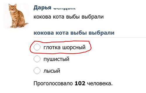 6 ошибок в русском языке, которые стали эпическими: 9 вити эташка, вкрации и другие