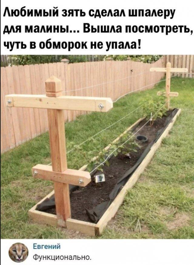 Картинки разные нужны, картинки всякие важны 18.05.2021