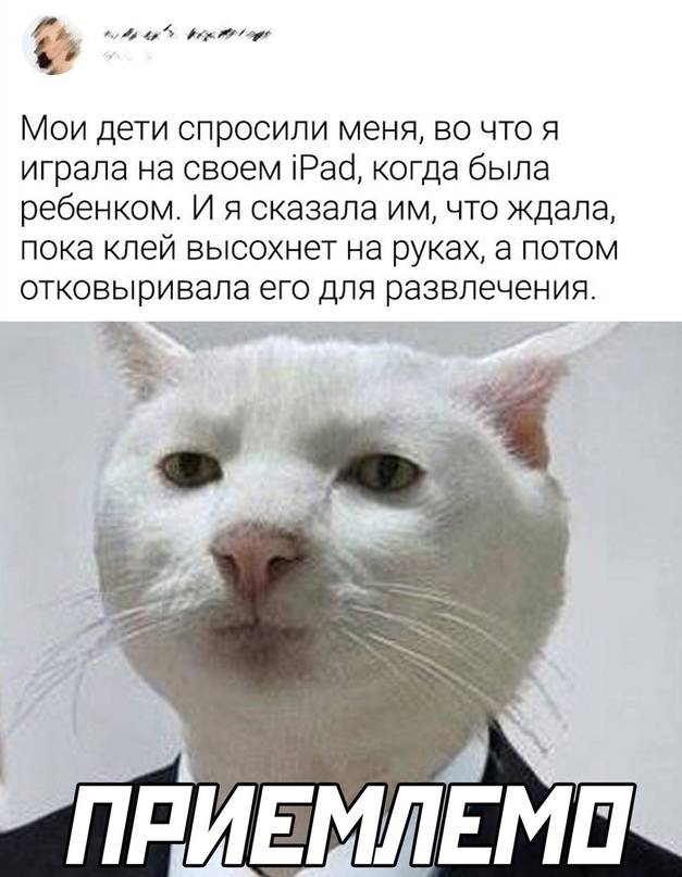 Весёлый полтишок 09.11