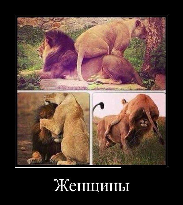 Нуштош 11.03.23