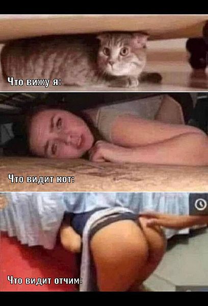 Юморески на вечер