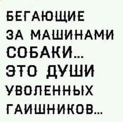 Картинки от Scodero 7