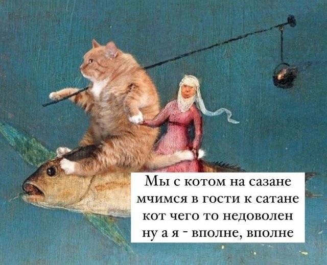 Немного забавных картинок