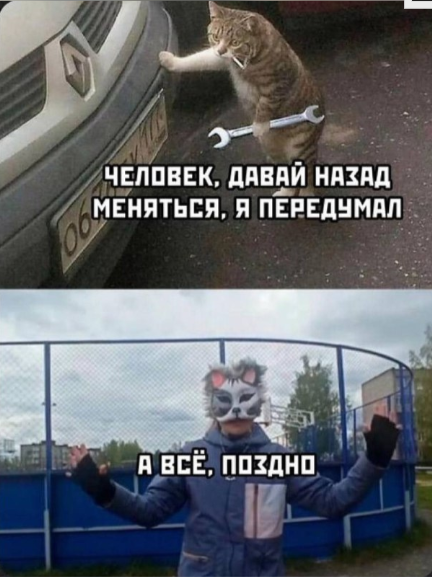 Погладил