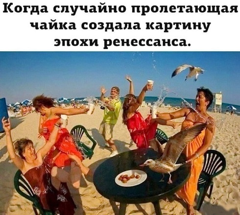 Меня твой шеф прислал