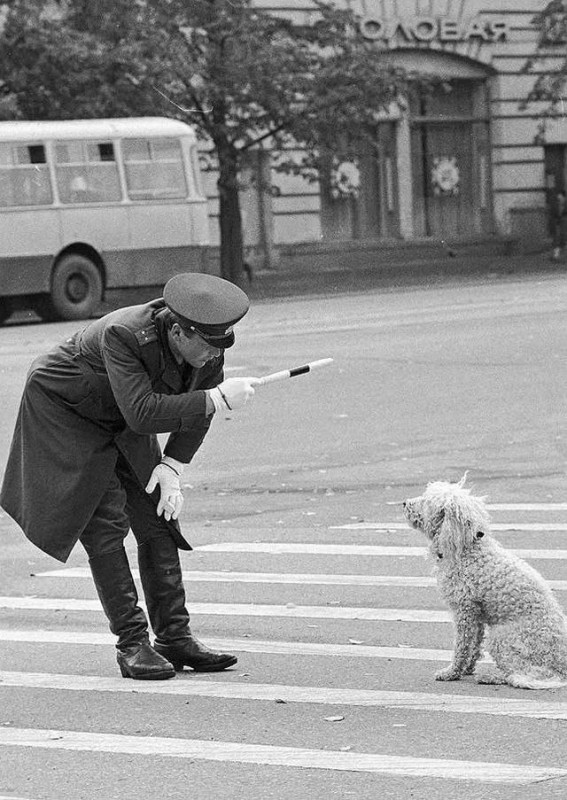 Фотографии из прошлого нашей страны – 89