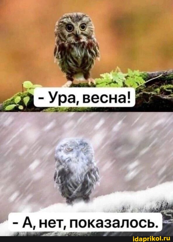 Запределье