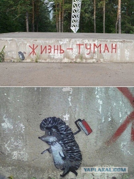 Начинайте свой день с чего-то положительного