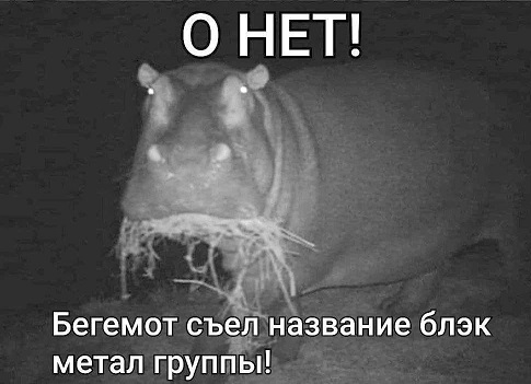 Это к нам менты что ли?
