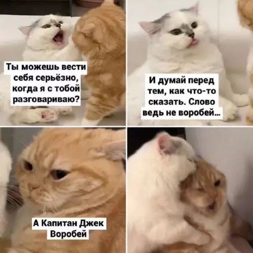 Картиночки, баянчики 27 февраля