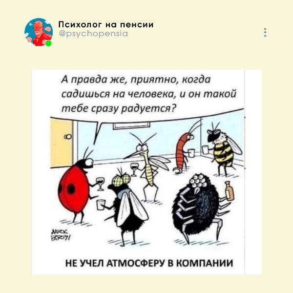Картинки для деградации 237 (разной степени свежести)