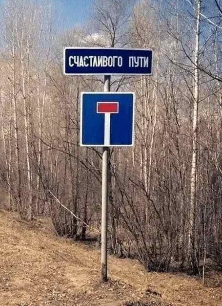 Участие в выборах – это наш общий вклад в победу России — Путин