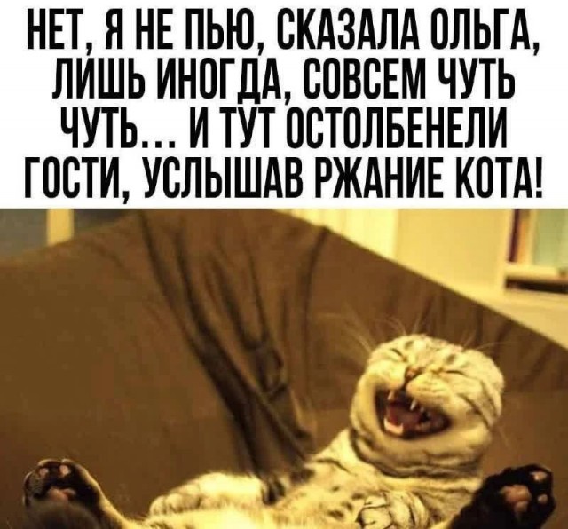 Картинки для деградации 301 (разной степени свежести)