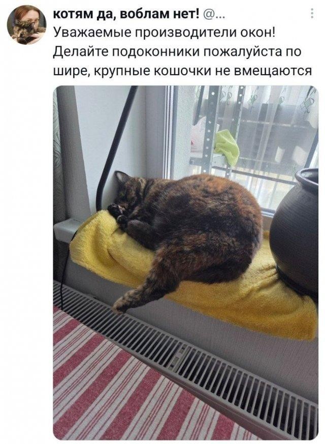 Картинки на вторник