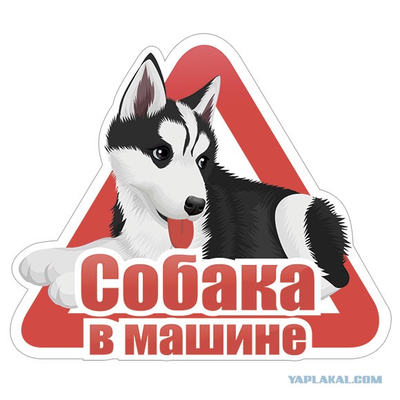 А ведь правда, зачем эти наклейки?