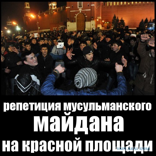 Анализ расстановки сил на Донбассе