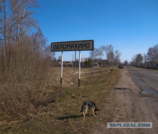 ЯнылЬ