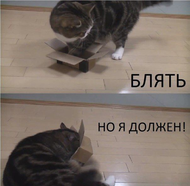 Веселые картинки, пятница.