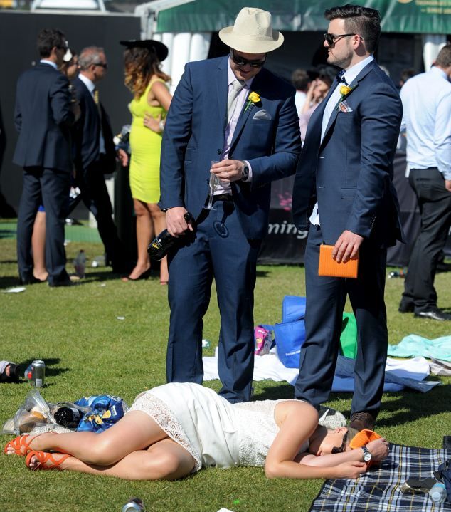 Экзотический животный мир Австралии