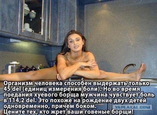 Муж съел суп, сваренный для собаки...